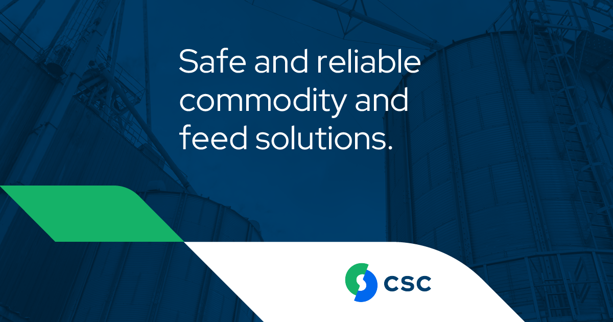 What we do - CSC